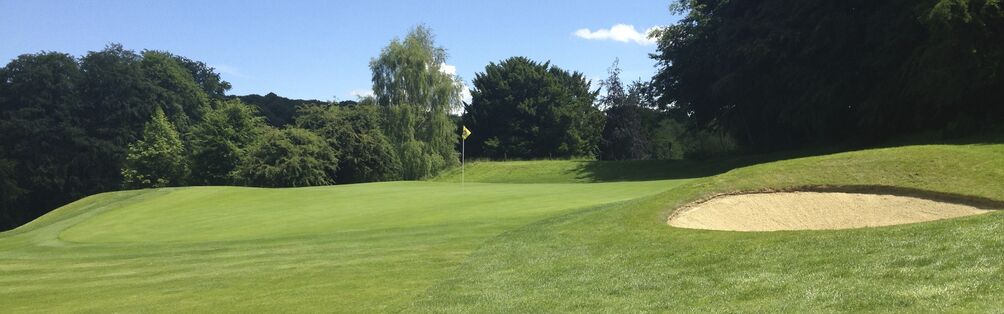 Tyrrells Wood Golf Club 5th Green June 2014