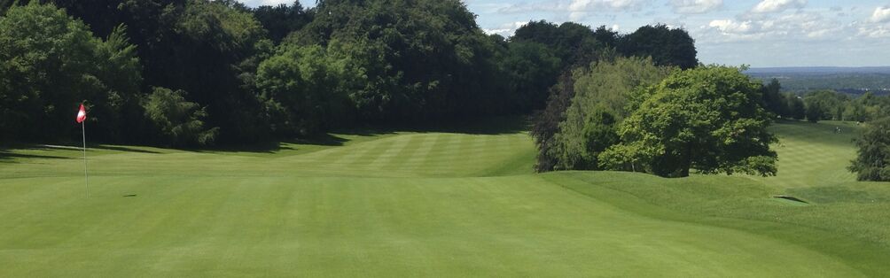 Tyrrells Wood Golf Club 6th Hole