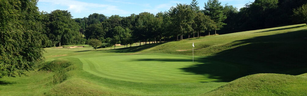 Tyrrells Wood Golf Club 15th Green