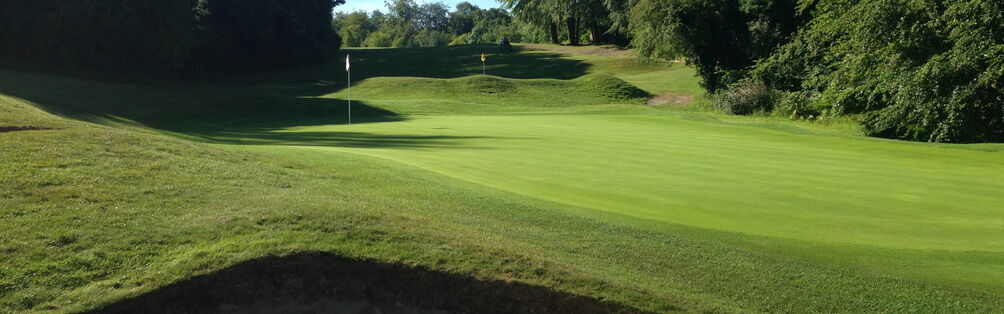 Tyrrells Wood Golf Club 15th Green
