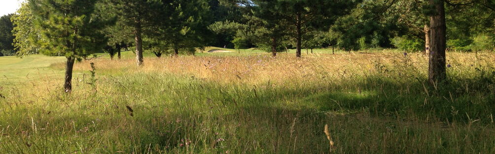Tyrrells Wood Golf Club