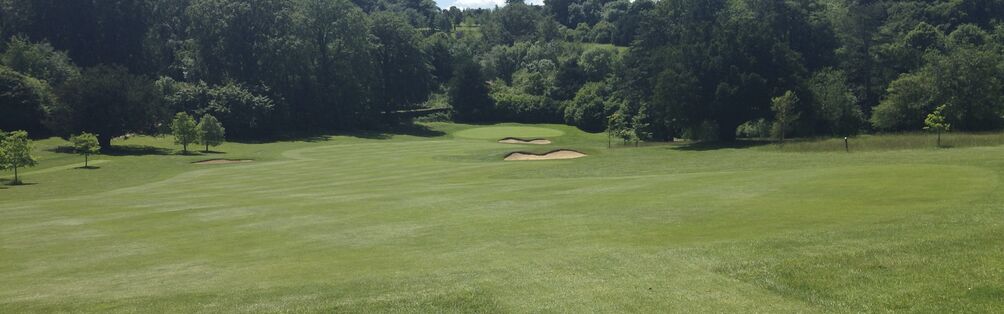 Tyrrells Wood Golf Club 10th Hole