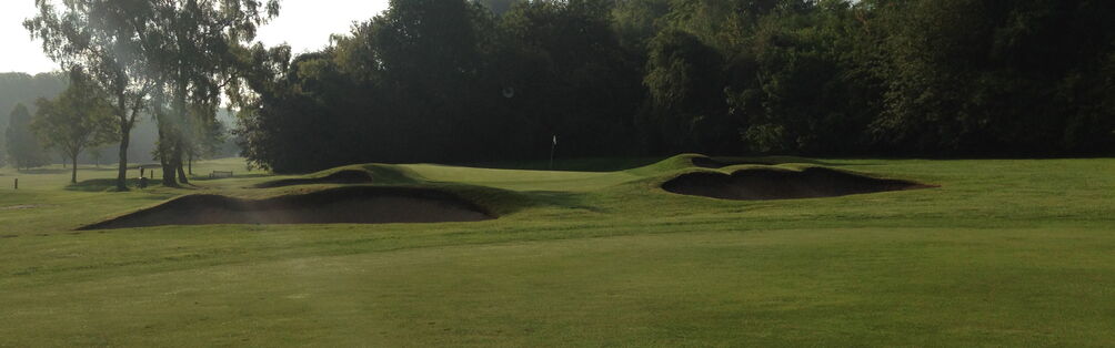 Tyrrells Wood Golf Club 3rd Green June 2014