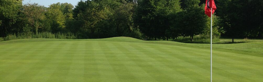 Tyrrells Wood Golf Club 4th Green