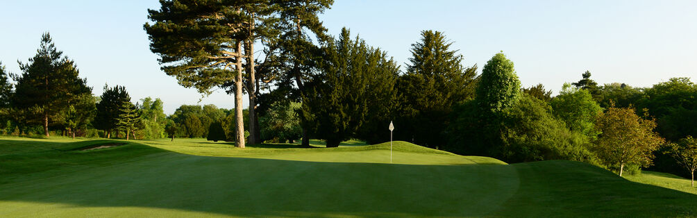 Tyrrells Wood Golf Club 7th